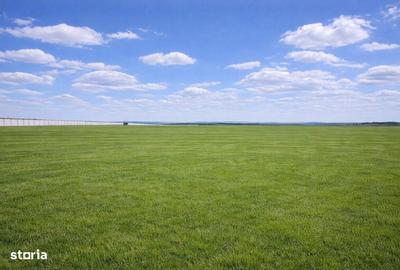 Teren de 33700 mp, în Central - 6