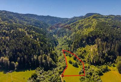 COMISION 0% Teren Bradet 7300 + 6000 mp/ Sacele /Intravilan - 3