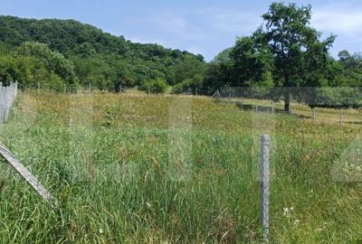 Teren extravilan de 1000 mp, situat pe strada Ghinzii - 7