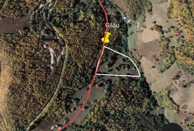 Teren de 15000 mp, în Plopi - 4