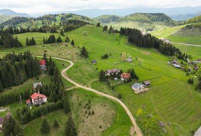 FILM! Eleganta casa de vacanta,select echipata,peisaj de vis,Fundata,Brasov - 3