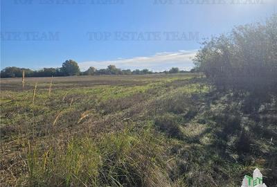 SUPER-PRET Teren 1ha intravilan intre A0, padure si raul Sabar - 3