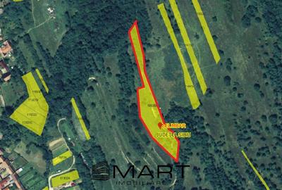 Teren extravilan 5500 mp, la padure zona Selimbar (Mohu) - 4