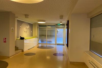 Inchiriere spatiu comercial P+1  230mp curte terasa ideal investitie Aviatorilor - 5