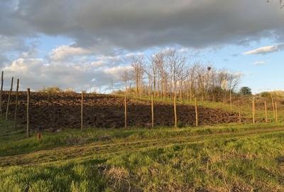 Teren de 2200 mp, în Iepurești - 1