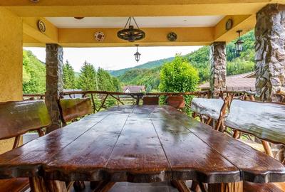 Cabana de vanzare -Marisel, 10 camere, terasa 41mp, piscina, ciubar - 7