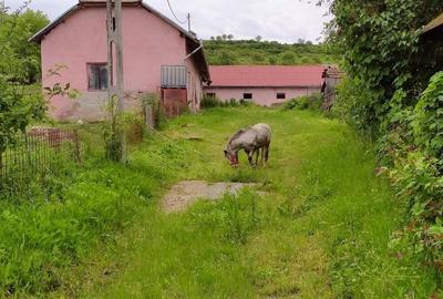 Casa cu 5 camere, 176 mp, teren 83 ari, pod betonat, 2 cladiri anexe - 5