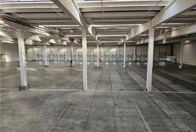 Spatiu Industrial - 5000 mp - Logistica - Depozitare - Distributie - 5