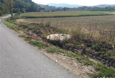 Teren de 11000 mp, în Fârdea - 2