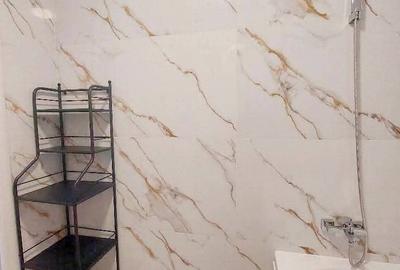 Apartament 2 Camere tip Studio Pantelimon - 9