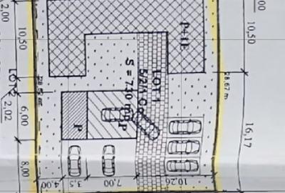 Spalatorie auto, spatii comerciale, b-dul N. Romanescu - 12