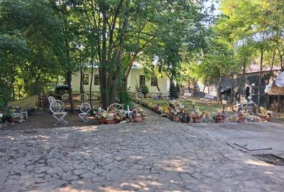 Casă cu 4 camere cu Teren 3000 Mp în Zorleni - 1