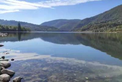 Teren de 9109 mp, în Rusca - 2