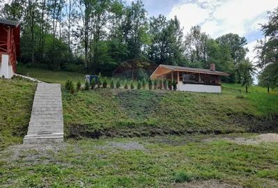 Cabana de vânzare, Valeni - 8