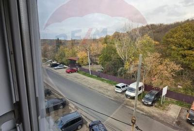 Apartament cu 2 camere de vanzare in zona Orasul de Jos - 3