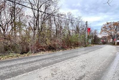 Teren, 1200mp, strada principala Barnova - 1