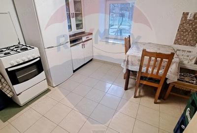 Proprietate exclusiva cu poten?ial turistic Bezid, jud. Mures - 15