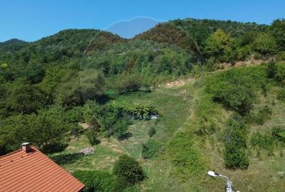 Teren de 2868 mp, în Săsar - 3