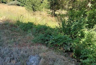 TEREN INTRAVILAN ÎN MARGA-LA DN68 JUD.CARAȘ-SEVERIN - 5