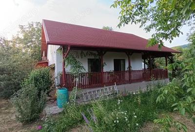 Casă cu 3 camere cu Teren 1544 Mp în Brebu - 9