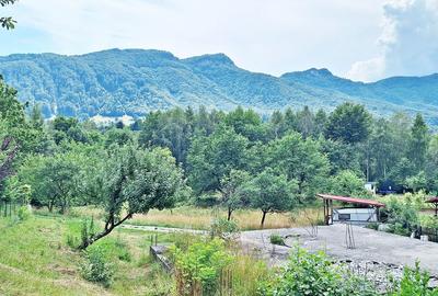 Bran- Predelut, 1000mp teren pentru casa de vacanta, pret 45 euro/mp - 9