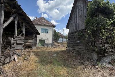 Casă cu 3 camere cu Teren 29000 Mp în Central - 8