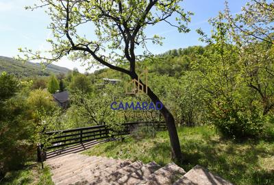 Casă individuală cu 4 camere cu Teren 2377 Mp în Provița de Jos - 19