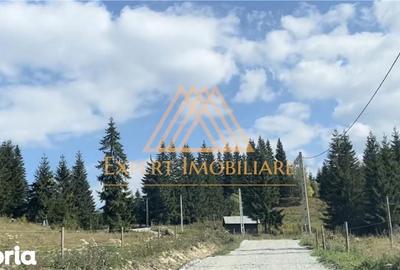 Casă cu 4 camere cu Teren 29000 Mp în Central - 12
