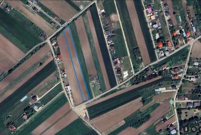 Teren de 5000 mp, în Gulia - 3