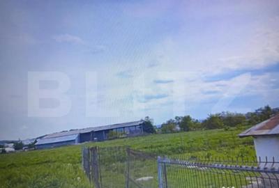 Casă cu 4 camere cu Teren 7000 Mp în Central