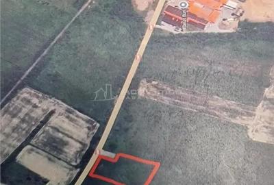 Teren de 1500 mp, în Sud - 1