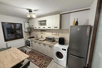 ALUNISULUI-2 CAMERE ,SUPRAFATA 54 MP,CENTRALA GAZ - 3