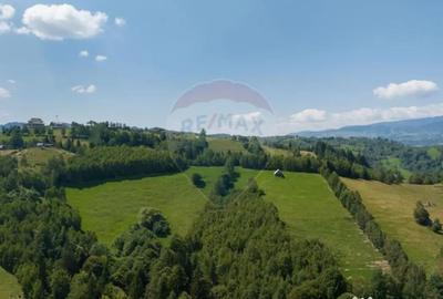 Teren de 15345 mp, în Șimon - 5