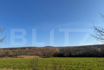 5 terenuri extravilane agricole cu suprafata totala de 13.37 - 1