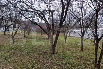 Teren de 2497 mp, în Turda - 5