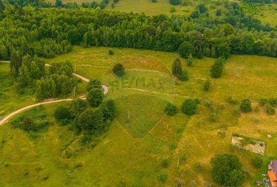 Teren Parcul National Bucegi/Str Glajarie Rau Mare/Panice... - 2