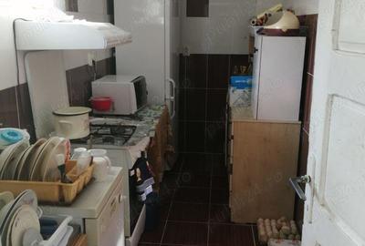 Vand casa cocheta ?i padure - 2