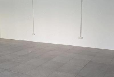 Spațiu comercial, de 79 mp, în Lipovei - 11