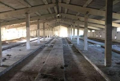 Teren intravilan 26395 mp (fosta Ferma Avicola), Zona Simnic - 3