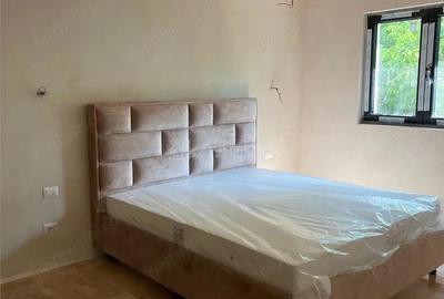 Casă cu Teren 8000 Mp în Câmpuri - 3