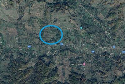 Teren Alunis / Jud. Prahova, 9.826 mp, D: 43 m , comision 0% - 2