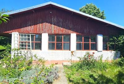 Spațiu comercial, în Ferme - 8