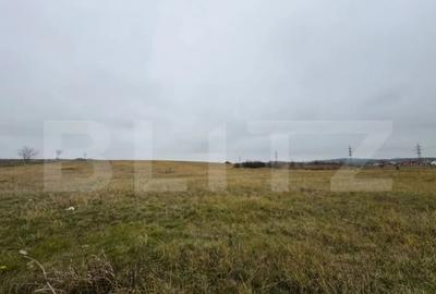 Teren de 7665 mp, în Central - 1