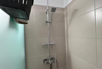 Apartament renovat ,mobilat, utilat nou in Grigorescu - 12
