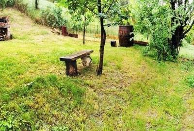 Apartament in casa cu gradina strada Dragalina - 1