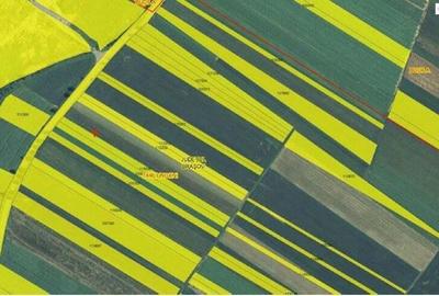 Cota parte 1/2 teren Tarlungeni, ID: R2373793 - 4