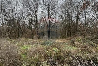 Teren de 1200 mp, în Satu Nou de Jos - 1