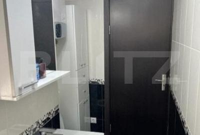 Investitie! Apartament 2 camere Tineretului - 8