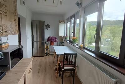 Casa individaual renovata, curte amenjata Boteni de Arges - 21
