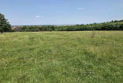 Spațiu comercial, în Viile Satu Mare - 2